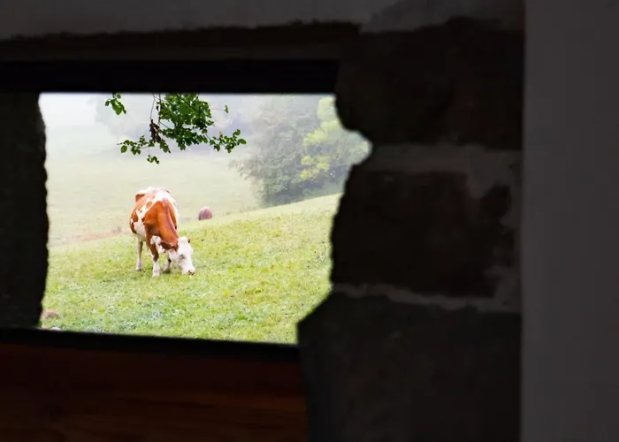 Les Balcons De La Terrasse Couette-café